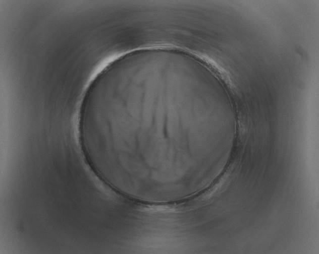 X0000116451422200912291938
