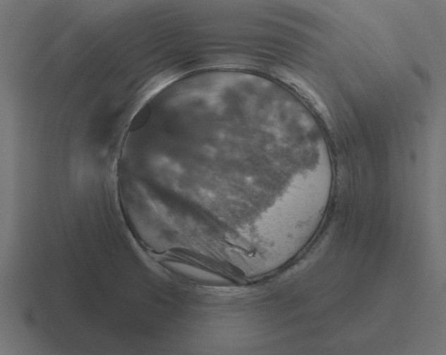 X0000116451425200912291939