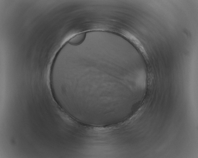 X0000116451427200912291939