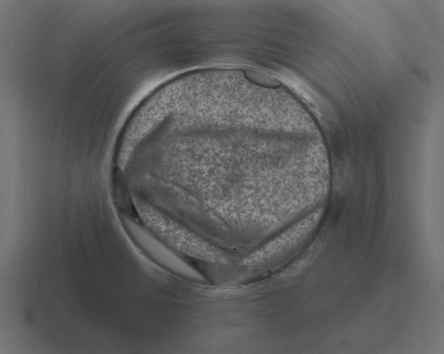 X0000116451430200912291939