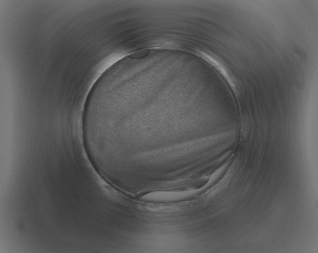 X0000116451434200912291939