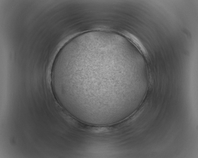 X0000116451435200912291939