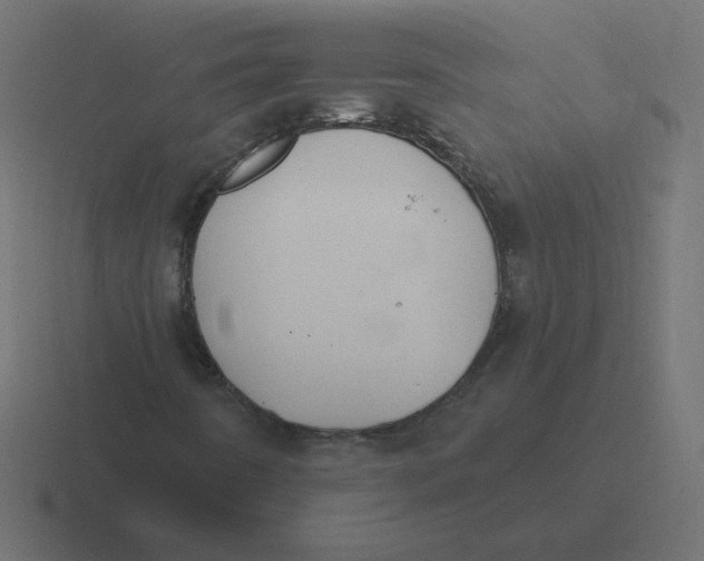 X0000116451442200912291938