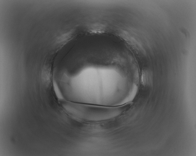 X0000116451444200912291938