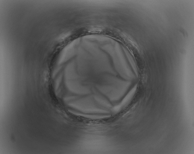 X0000116451445200912291938
