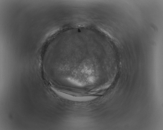 X0000116451447200912291938