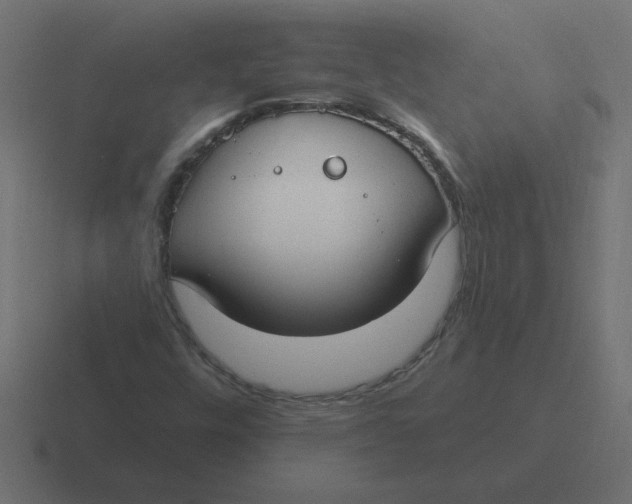 X0000116451448200912291938