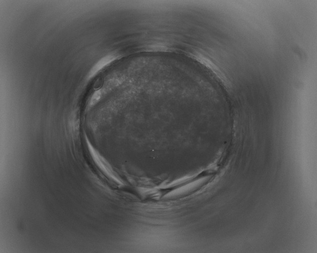 X0000116451450200912291938