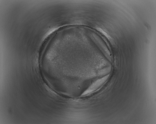 X0000116451452200912291938