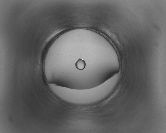 X0000116451453200912291938