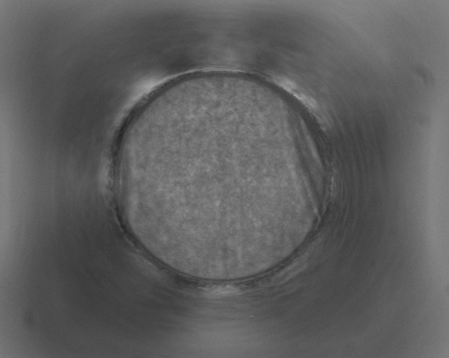 X0000116451454200912291938
