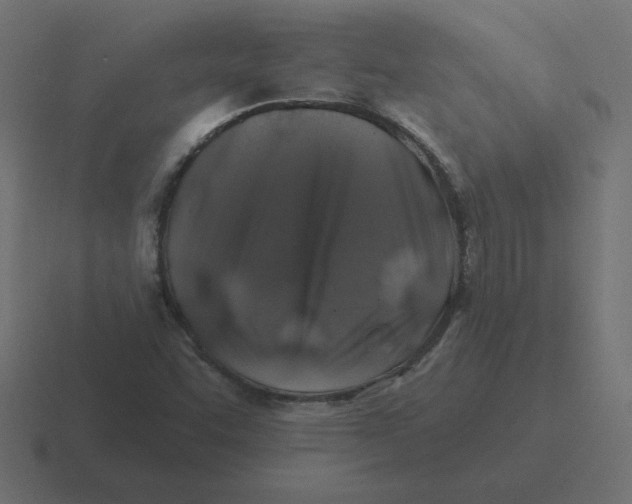 X0000116451455200912291938