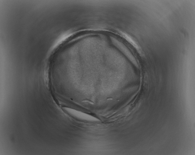 X0000116451456200912291938