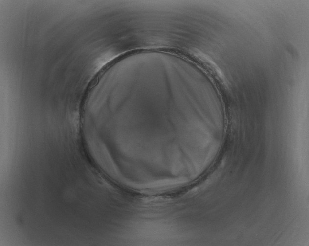 X0000116451457200912291938