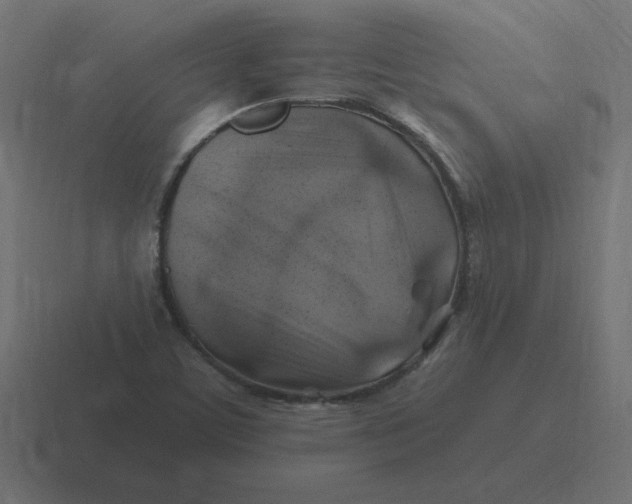 X0000116451459200912291938