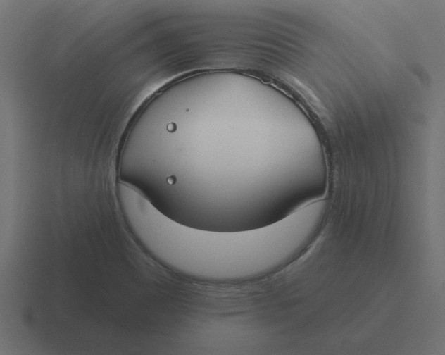 X0000116451465200912291938