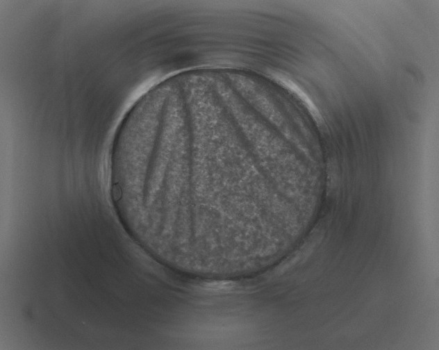 X0000116451467200912291938