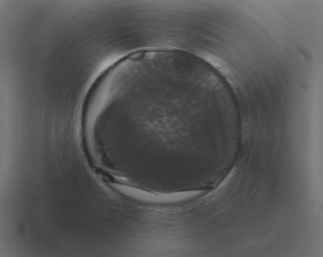 X0000116451469200912291938