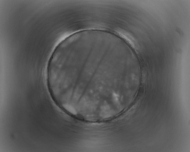 X0000116451471200912291938