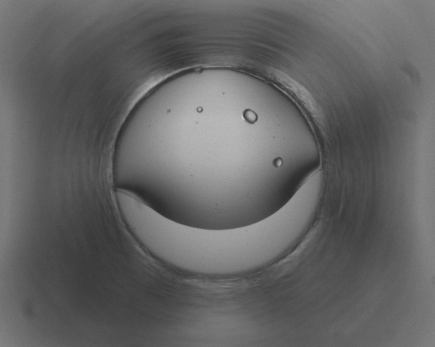 X0000116451473200912291938