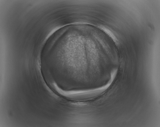 X0000116451476200912291938
