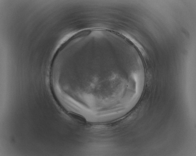 X0000116451477200912291938