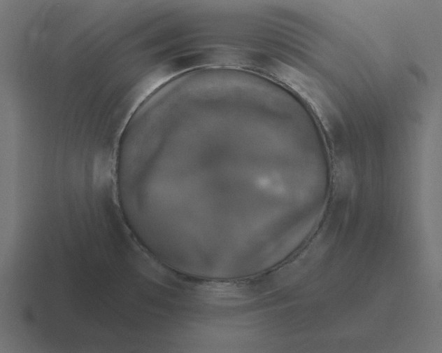 X0000116451481200912291938