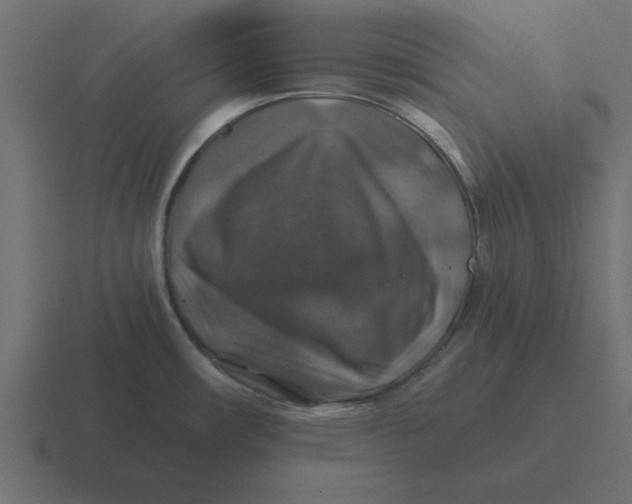 X0000116451482200912291938
