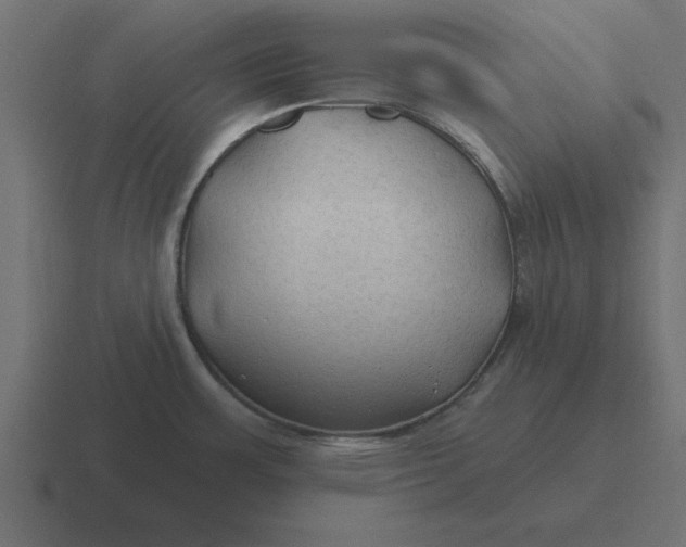 X0000116451483200912291938