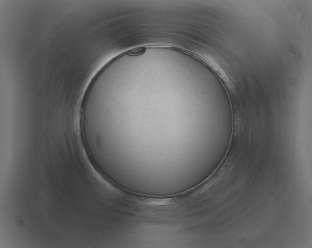 X0000116451484200912291938
