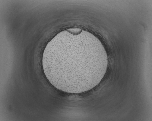 X0000116451489200912291937