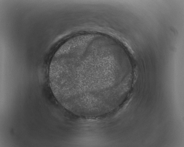 X0000116451494200912291937