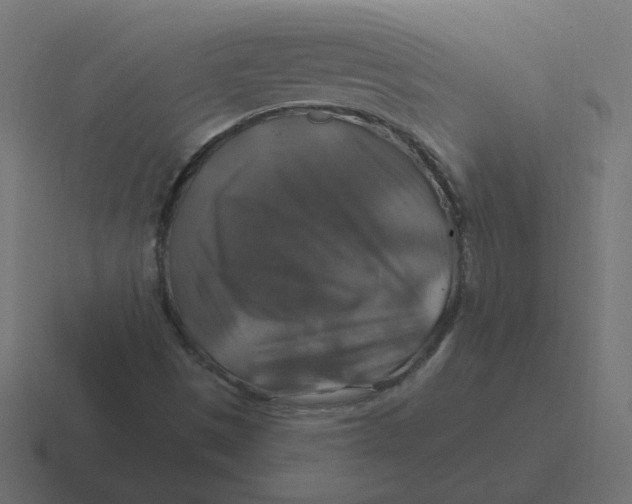X0000116451497200912291937