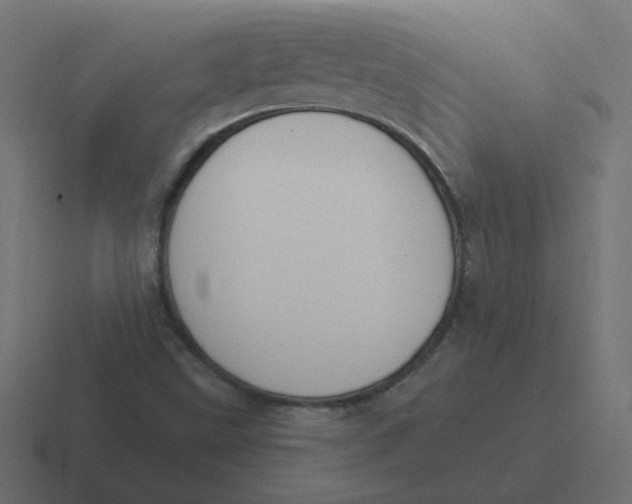 X0000116451499200912291937