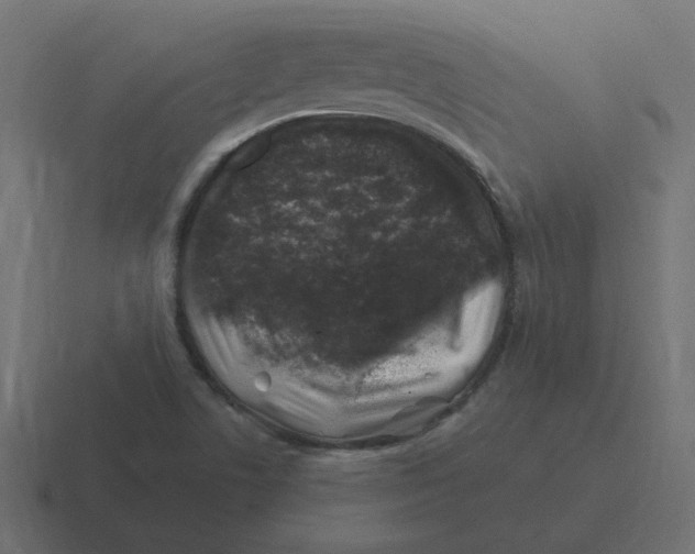 X0000116451506200912291937