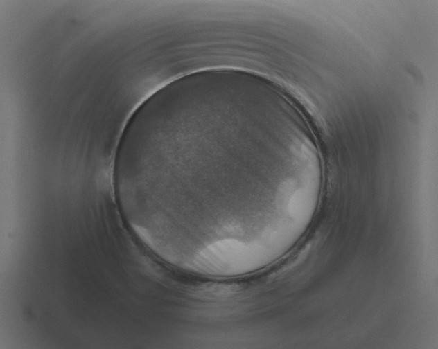 X0000116451513200912291937