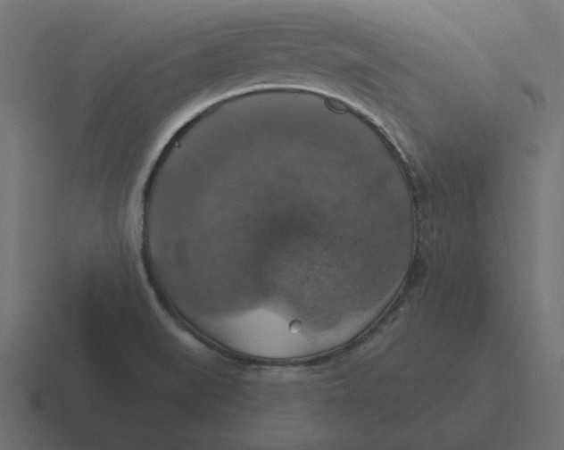 X0000116451519200912291937