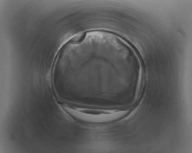 X0000116451529200912291937