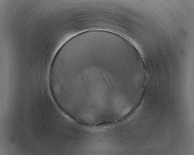 X0000116451533200912291937