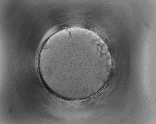 X0000116450004201001051233