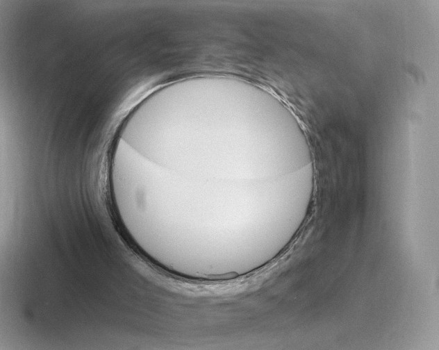 X0000116450005201001051233