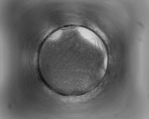 X0000116450009201001051233