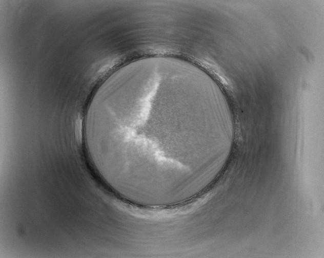 X0000116450014201001051233