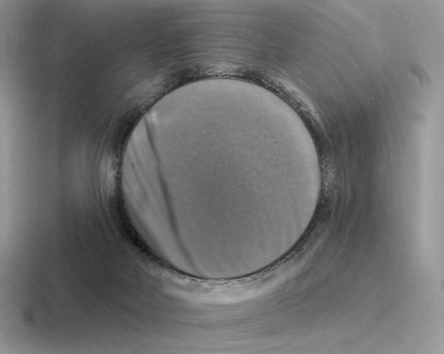 X0000116450026201001051233