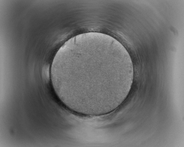 X0000116450028201001051233
