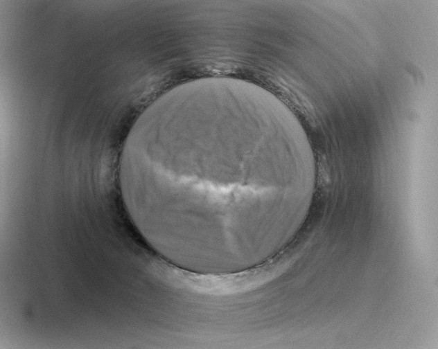 X0000116450030201001051233