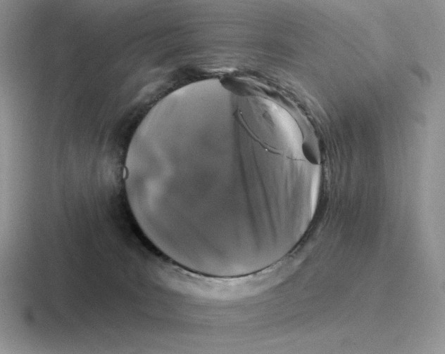 X0000116450035201001051233