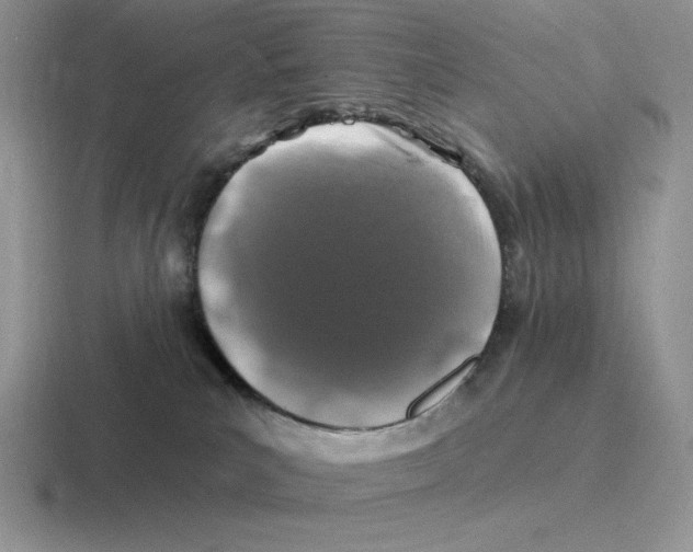 X0000116450039201001051233