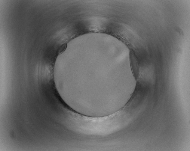 X0000116450043201001051233