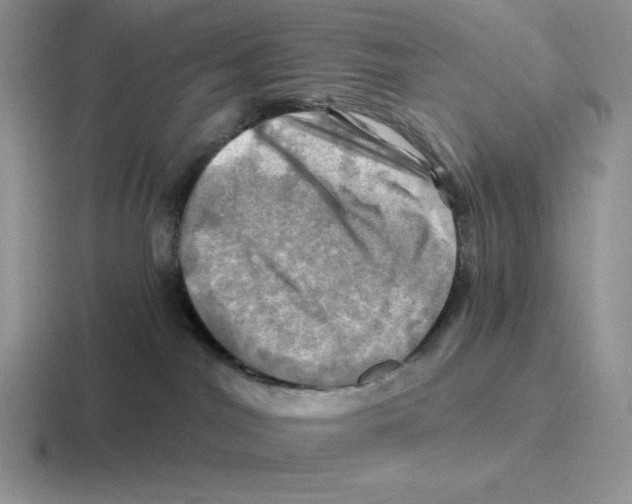 X0000116450044201001051233